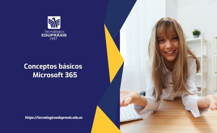 Conceptos básicos de Microsoft 365 – Guía de Office 365